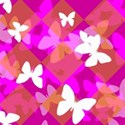 jThompson_butterfly_paper2