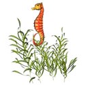 seahorse grass