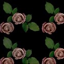 pink rose on black emb