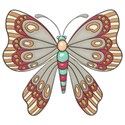 kitc_flutter_butterfly1