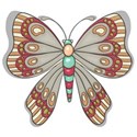 kitc_flutter_butterfly1a