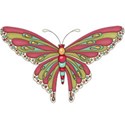 kitc_flutter_butterfly3
