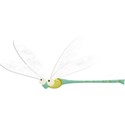 kitc_flutter_dragonfly