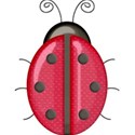 kitc_flutter_ladybug