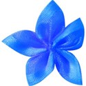 synamay blue bow