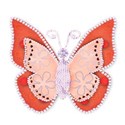 orange jewel butterfly