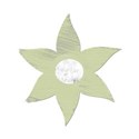 flowerlightgreen