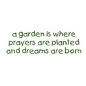 garden prayers planted dreams born