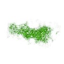 glitter green spilled