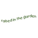 raised in the garden