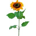 sunflower_caj_26_cu5