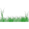 strip of grass