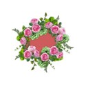 cabbage rose cluster 05