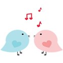 bird cute pink and blue couple