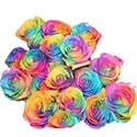 rainbow rose bunch_edited-1