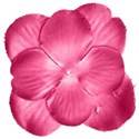 ss_preciouspetals_flower_pinksilk