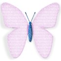 Butterfly blue and light pink