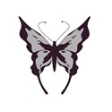 butterfly 9