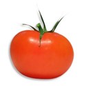 AYW-FarmhouseKitchen-Tomato