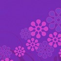 flower purple background