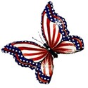 red white and blue butterfly