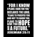 Jeremiah 29:11 Subway Art
