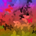 Butterfly shadows background