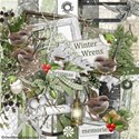 00 kit cover winter wrens