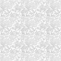 BackGround White Lace