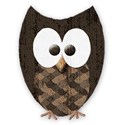 mini brown owl