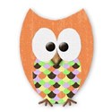 mini tangerine owl