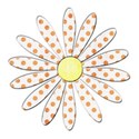 orange polka dot flower