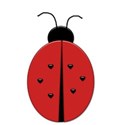 ladybug-sh
