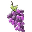 lisaminor_ourbackyardparty_grapes