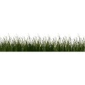 lisaminor_atthepark_grass