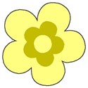 flower 4 yellow