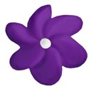 purple flower 4