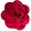 red flower1