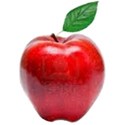 apple 1s