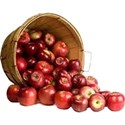 new bushel of apples 2