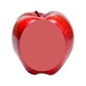 apple without leaf frame