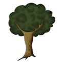 KIT_BeNBeW_tree