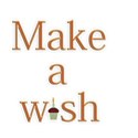 make a wish worart