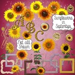 Sunflowers in September + Alpha
