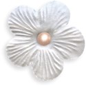 Small White Flower 1