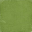 dzavagno_solidperformance_solidpaper_green