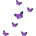 butterflies 2