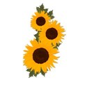 sunflowersyellow