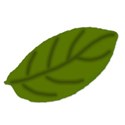 leaf-sh