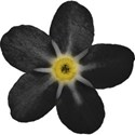 flower mini black